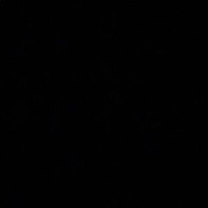 Meet your Posher, Syntysh